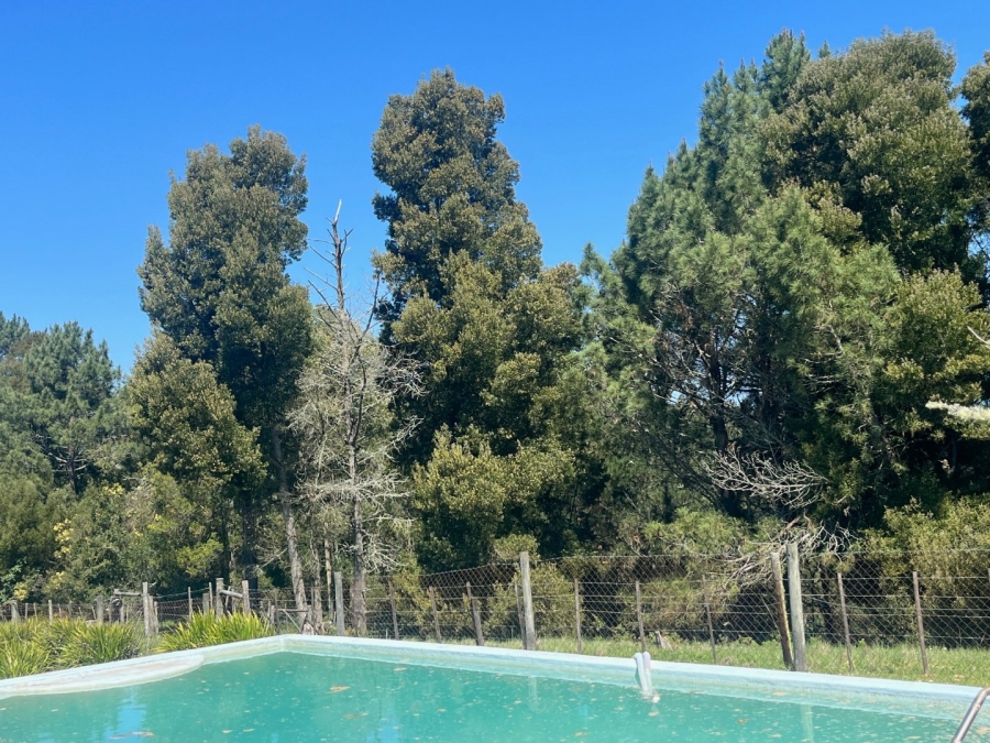 Commercial Property for Sale in Plettenberg Bay Rural Western Cape